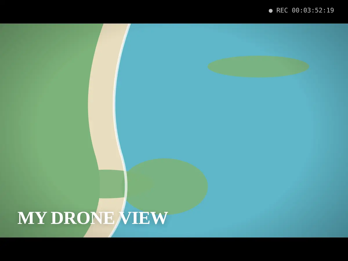 MY DRONE VIEW